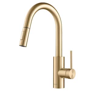 Oletto Single-Handle Pull-Down Kitchen Faucet with Dual-Function Sprayer in Brushed Brass
