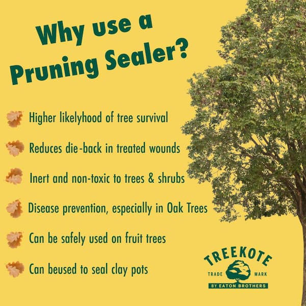 Treekote Tree Wound Dressing - 16oz Tub Pruning Sealer and Grafting Compound Treekote Tree Wound Dressing - 16oz Tub Pruning Sealer and Grafting Compound