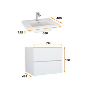 Wall-Mounted 23.62 in. W x 18.9 in. D x 19.69 in. H. Bath Vanity in White with White Solid Surface Top with White Basin