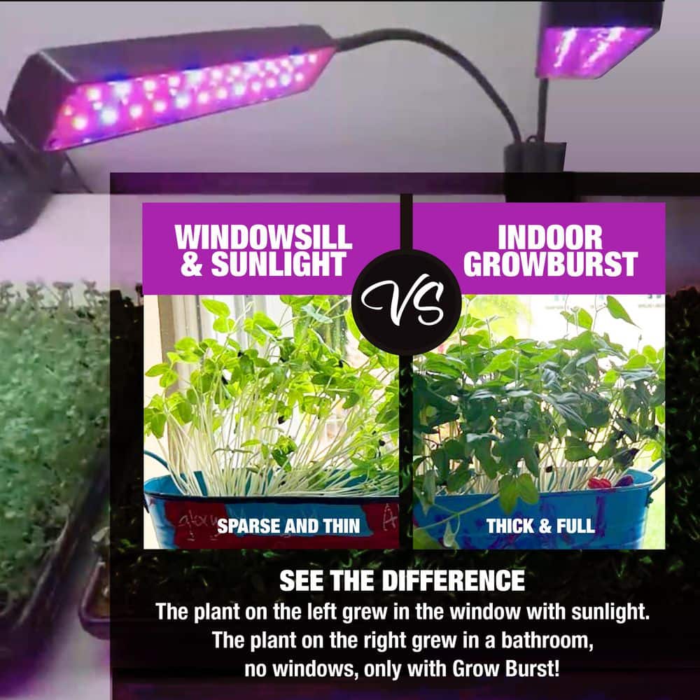 Bell + Howell 24" Black LED Indoor Grow Light with Adjustable Timer