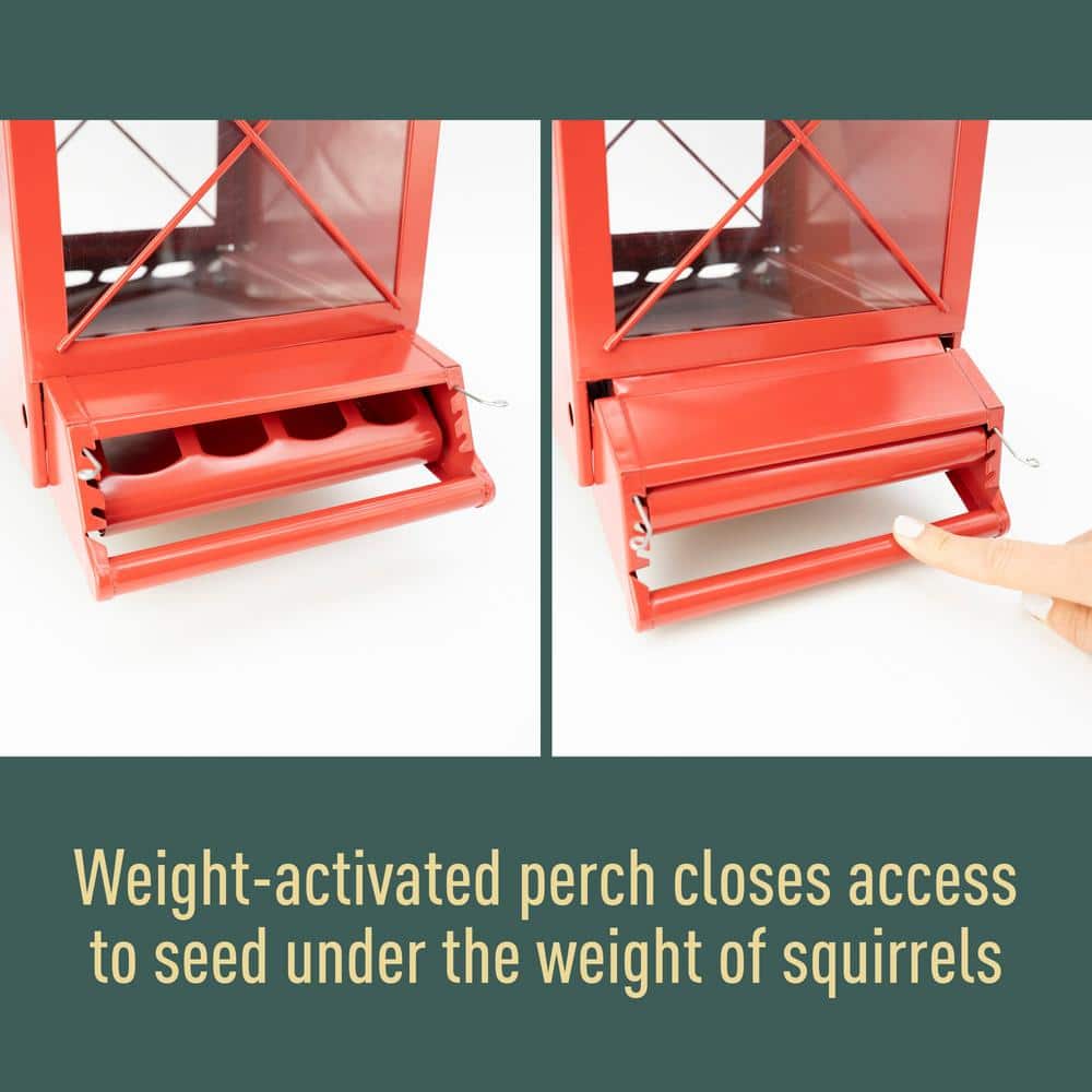 Red and Black Metal Squirrel Resistant Hanging Hopper Feeder