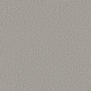 Blissful II - Beaming Gray - 60 oz. SD Polyester Texture Installed Carpet