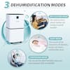 Elexnux 22 pt. 2,000 sq. ft. Dehumidifier for Home in White with Bucket,  with Drain Hose ZJOLWBRY01 - The Home Depot