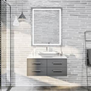 Totti Wave 36 in. W x 21 in. D x 22 in. H Bathroom Vanity in Gray with White Glassos Top with White Sink
