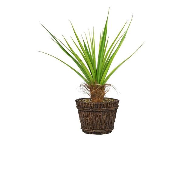 Laura Ashley 52 in. Tall Agave Tree with Cocoa Skin in Planter