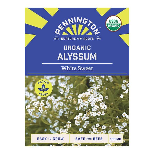Organic Alyssum White Sweet Flower Seed