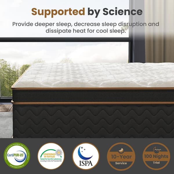 Classic Series Queen Ultra Plush Memory Foam 10 in. Bed-in-a-Box Mattress with Independently Encased Coils