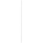 Choreograph 1.25 in. x 72 in. Shower Wall Edge Trim in White (Set of 2)