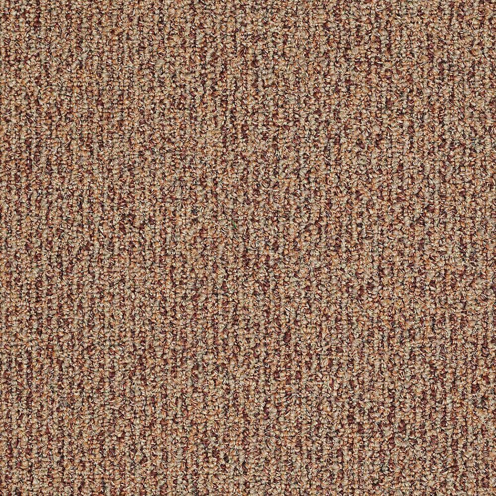 8 in. x 8 in. Berber Carpet Sample - Fallbrook - Color Terra Cotta price history on PriceWatchPro