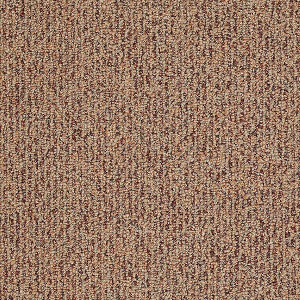 TrafficMaster 8 in. x 8 in. Berber Carpet Sample - Fallbrook - Color Terra Cotta