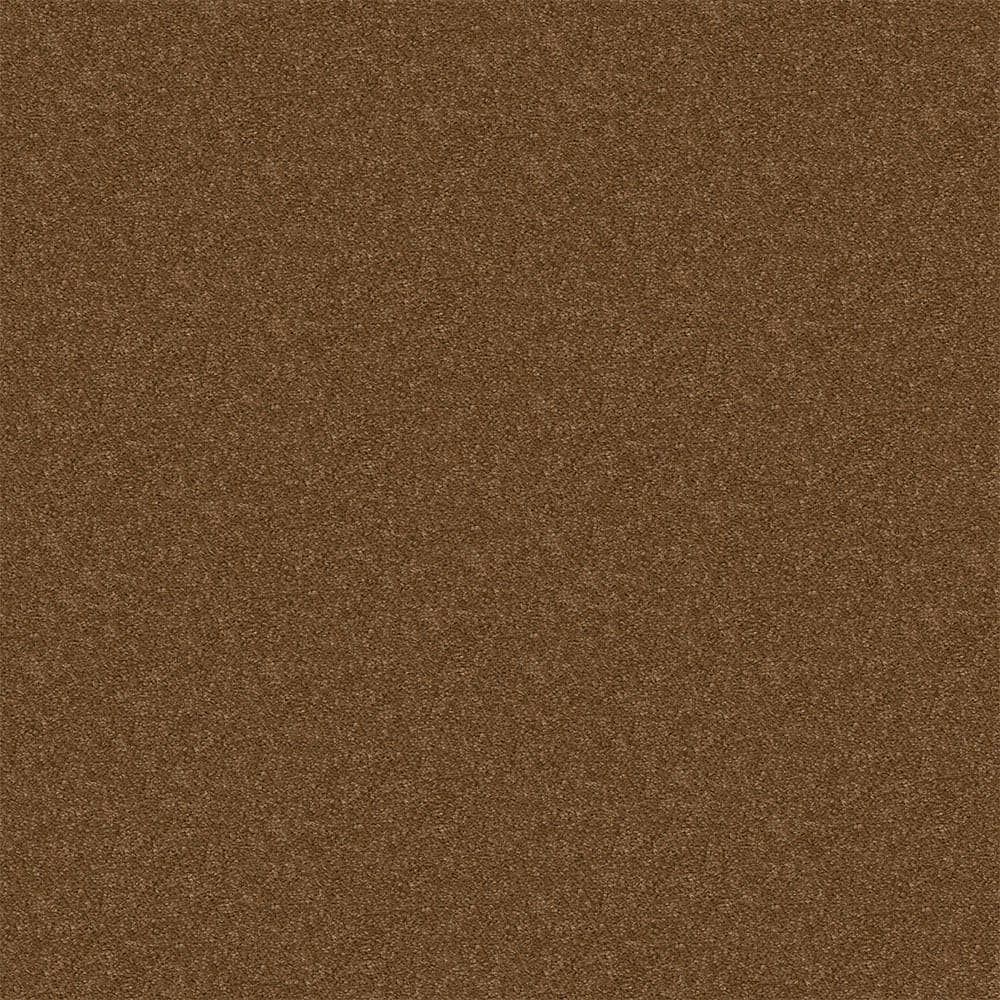 TrafficMaster Alpine - Harmony - Brown 17.3 oz. Polyester Texture ...