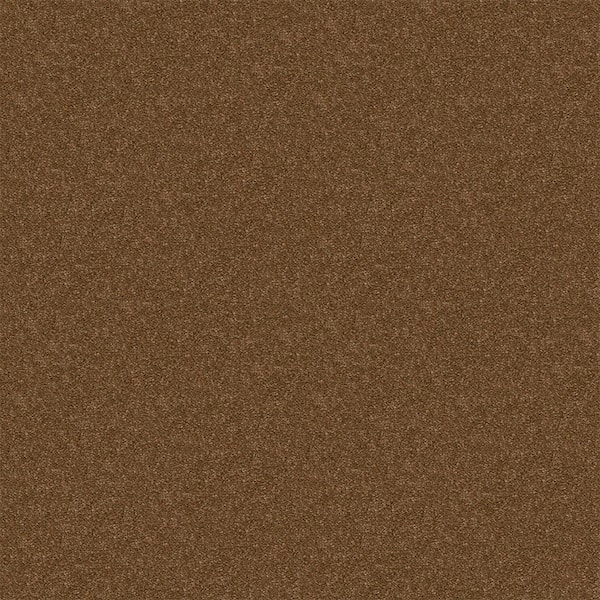 Alpine - Harmony - Brown 15 ft. 17.3 oz. Polyester Texture Installed Carpet