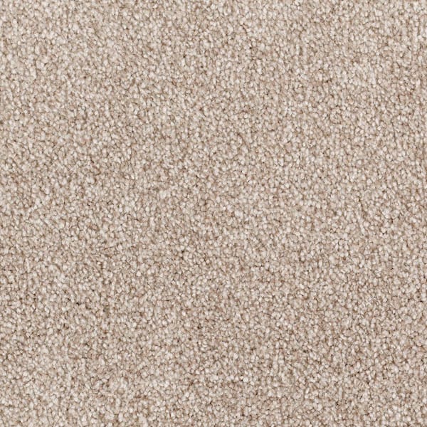 Lifeproof with Petproof Technology 8 in. x 8 in. Texture Carpet Sample ...