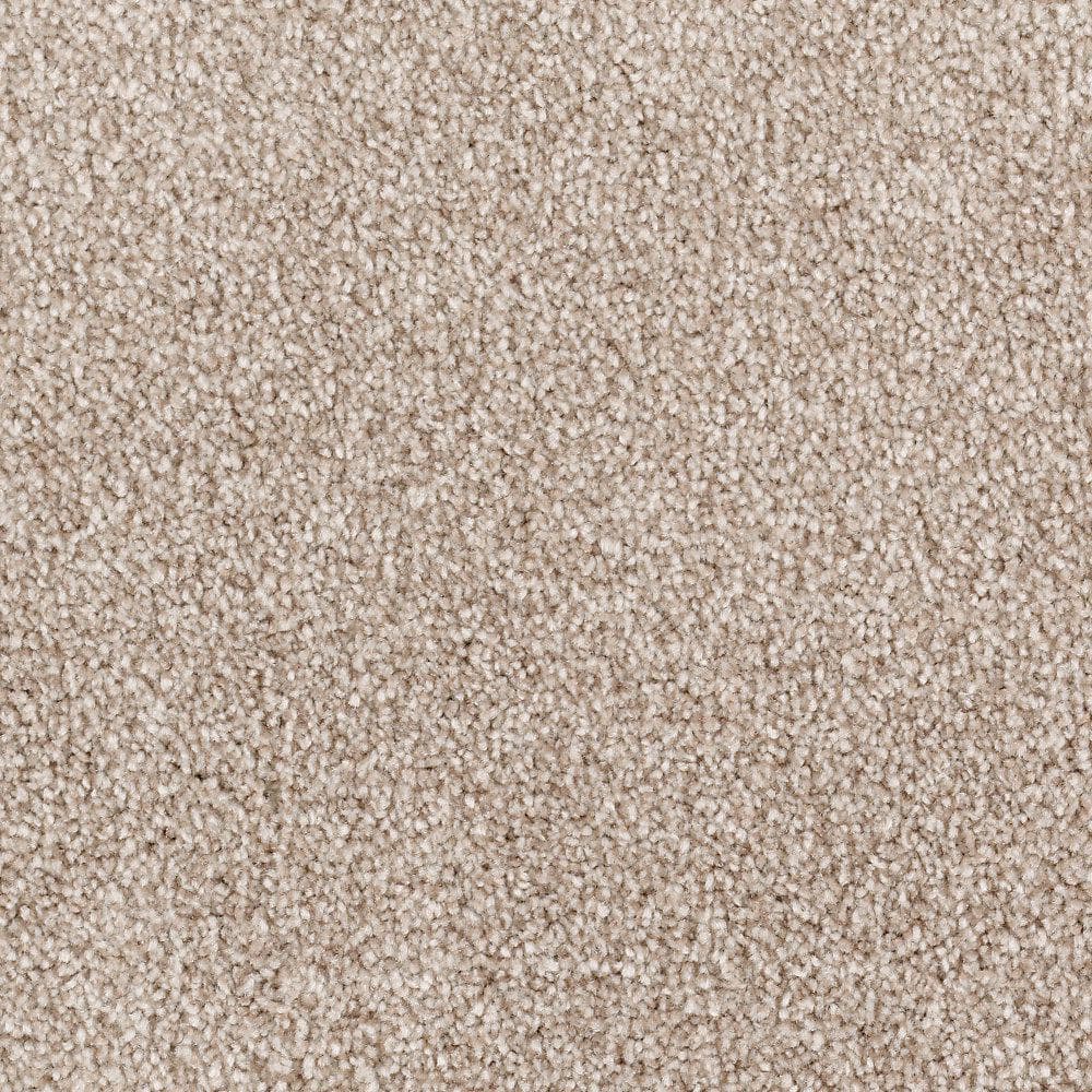 8 in. x 8 in. Texture Carpet Sample - Silver Mane II -Color Urban Putty price history on PriceWatchPro