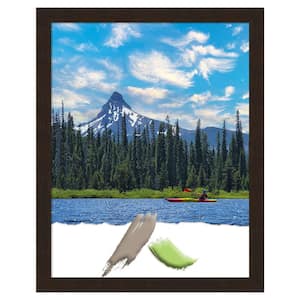 Carlisle Espresso Narrow Wood Picture Frame Opening Size 11 x 14 in.