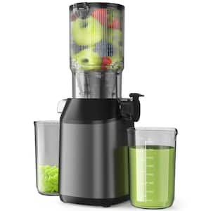 200 W Gray Cold Press Juicer, Slow Masticating Machines with 5.3 in. Extra Large Feed Chute