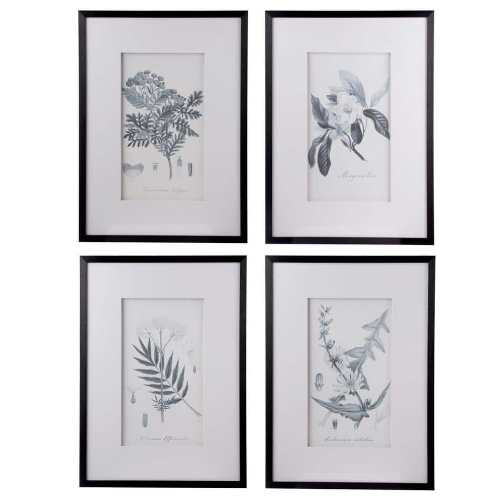 A & B Home Botanical 4-Piece Framed Nature Art Print 27.6 in. x 19.7 in ...