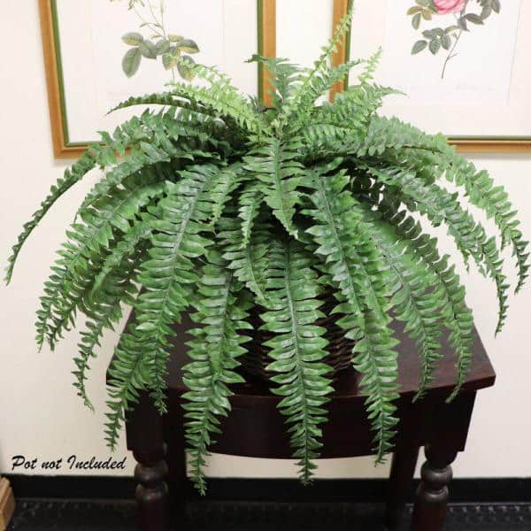 Nearly Natural Indoor Boston Artificial Fern in White Planter 6308 - The  Home Depot