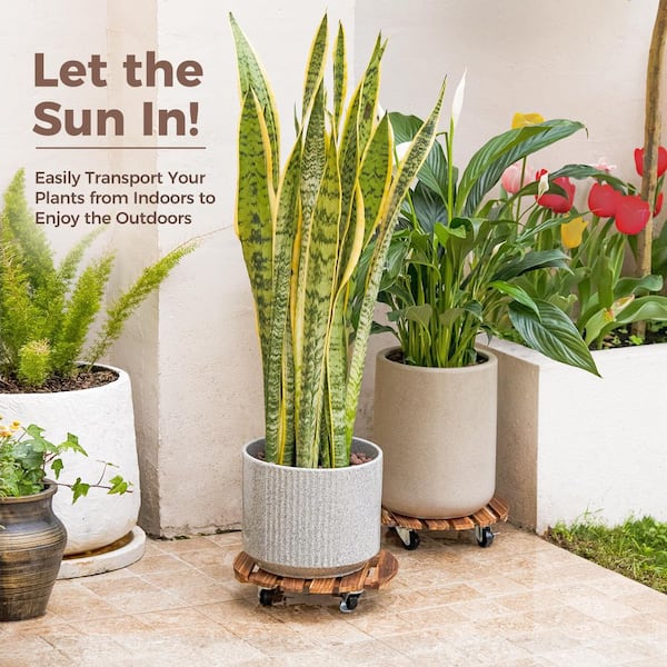 OGETFUUR 2-Pack (12 in. W x 2.7 in. H) Plant Stand Outdoor Rolling