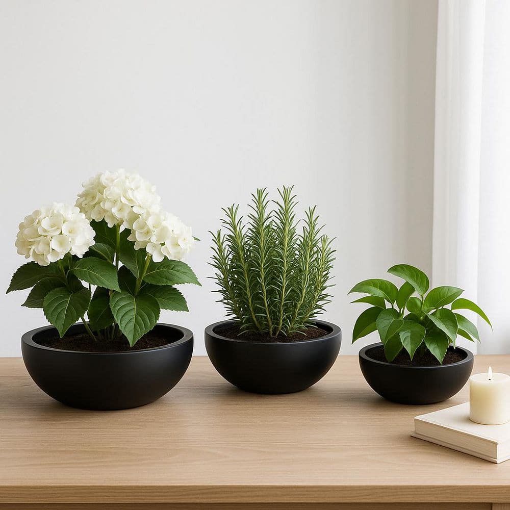 SRL TAPERED-M P-PLANT POT BLACK プラ鉢 Raw life factory VALIEM