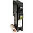 https://images.thdstatic.com/productImages/ea99c45f-06c0-44ec-8bff-2e96eb15ae8b/svn/square-d-single-pole-breakers-hom120cafic-64_65.jpg