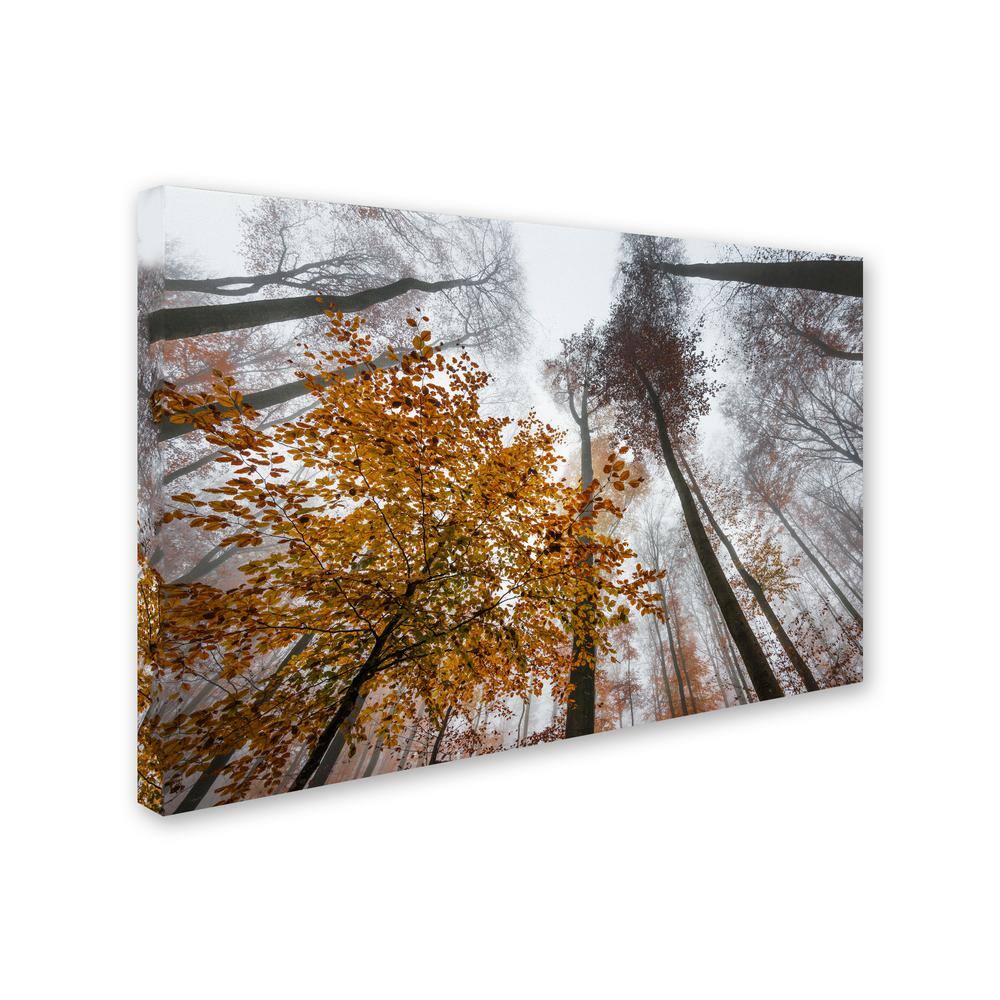 Autumn Forest Landscape Framed Canvas Art 22" x 32"