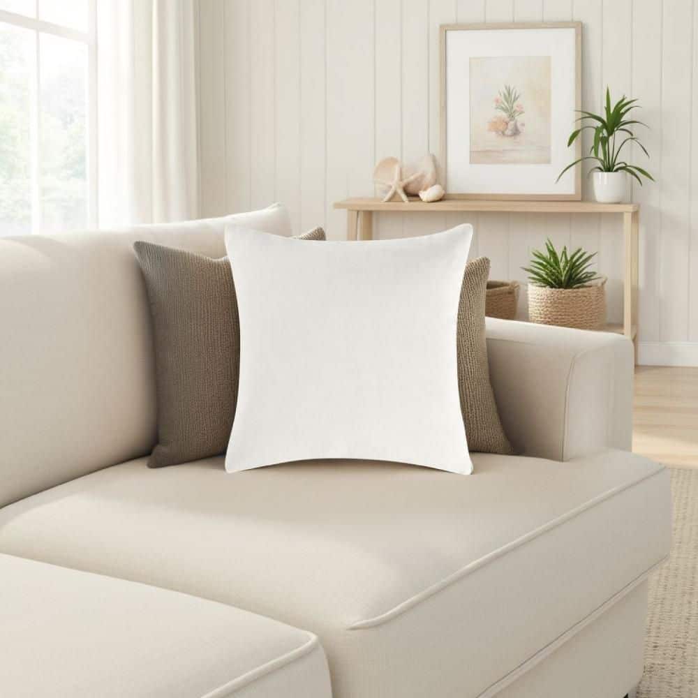Paula Ivory Cotton Euro Sham