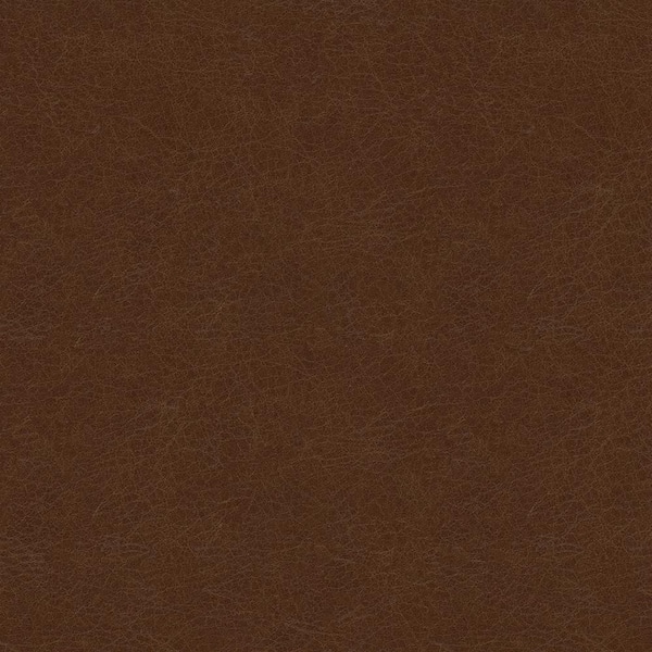 ARENA VINTAGE Arena Vintage Brown Leather Swatch