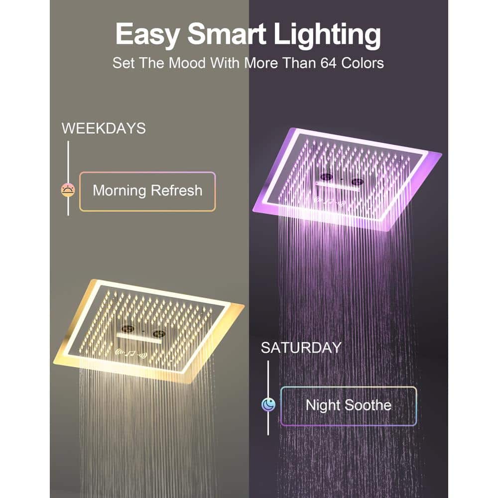Brushed Nickel Dual Head LED Shower System with Bluetooth Speaker