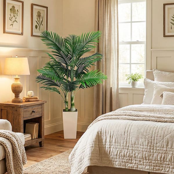 Costa Farms 14 in. Spindle Palm Tree SP14 - The Home Depot