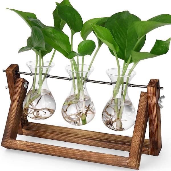 Propagation Station with 3 Glass Vases and Wood Stand – 11 Inch Retro Desktop Planter for Indoor Plants, Hydroponic Gift