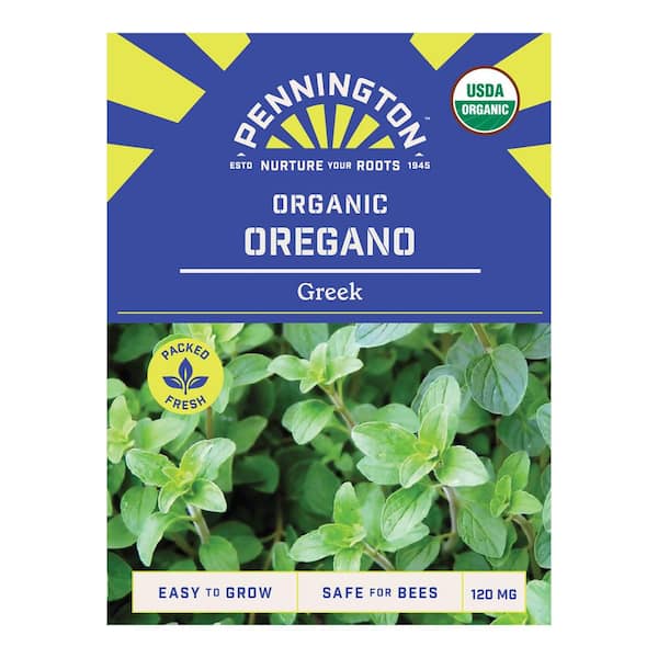 Organic Oregano Greek Herb Seed
