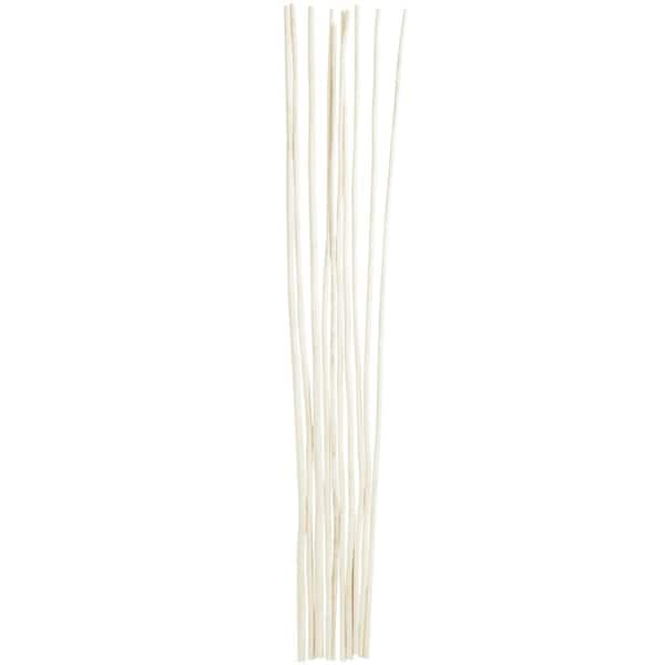 Litton Lane Pampas Natural Foliage with Long Stems (One Bundle) 043439 -  The Home Depot