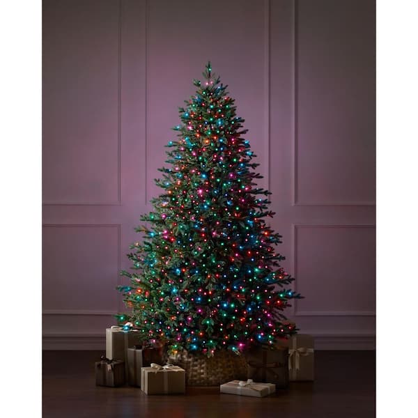 7.5 ft Park City Spruce LED Pre-Lit Tree with Timer T25