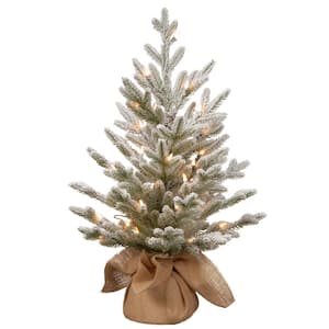2.5 ft. Snowy Cambridge Artificial Christmas Tree with Battery Operated Lights