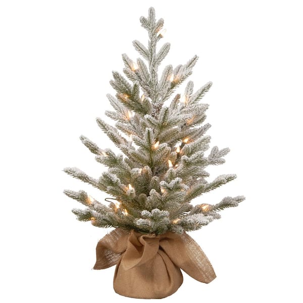 National Tree Company 2.5 ft. Snowy Cambridge Artificial Christmas Tree with Battery Operated Lights
