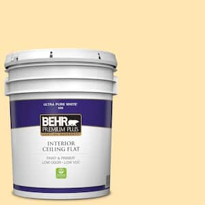 5 gal. #P260-3 Vanilla Ice Cream Ceiling Flat Interior Paint