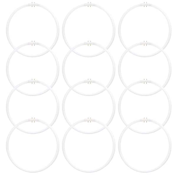 40-Watt 12 in. Linear Circline Tube T5 2GX13 Base Fluorescent Light Bulb in Bright White 3000K (12-Pack)