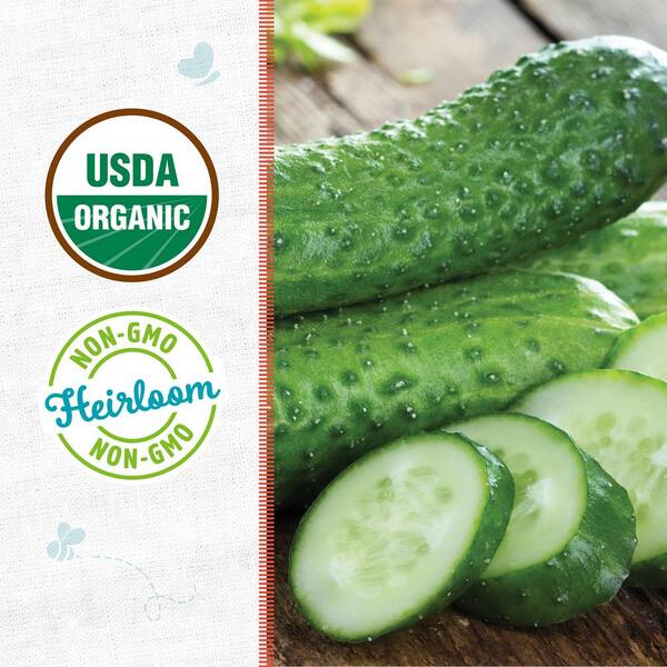 Organic Sumter Cucumber Seed (1-Pack)