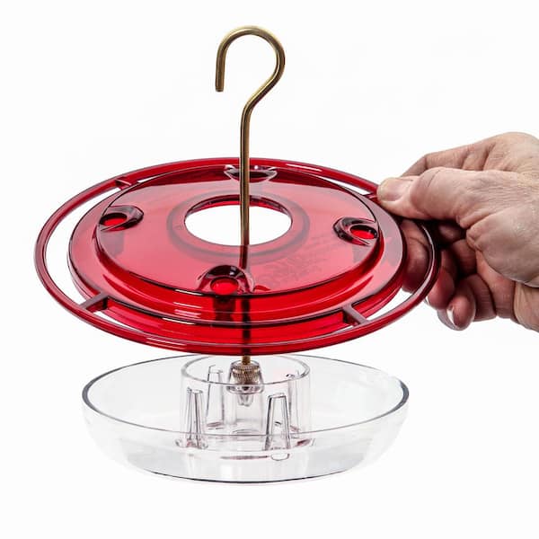 BIRDS choice 8 oz. Hummerfest Hummingbird Feeder NP1008