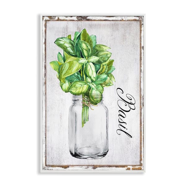 Stupell Industries Rustic Garden Basil by Creatif Belle White Framed Nature Giclee Art Print 24 in. x 16 in.
