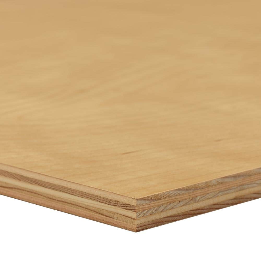 Dimensions Uv Birch Plywood Common 3 4 In X 2 Ft Actual 0 703 23 75 47 288351 The Home Depot Dimensions Uv Birch Plywood Common 3