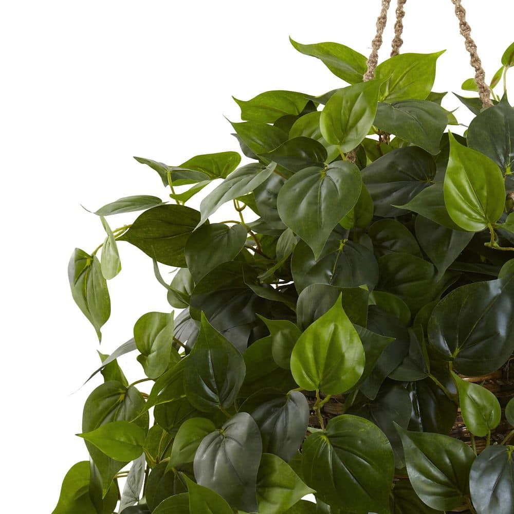 Outdoor UV Resistant Philodendron Hanging Basket