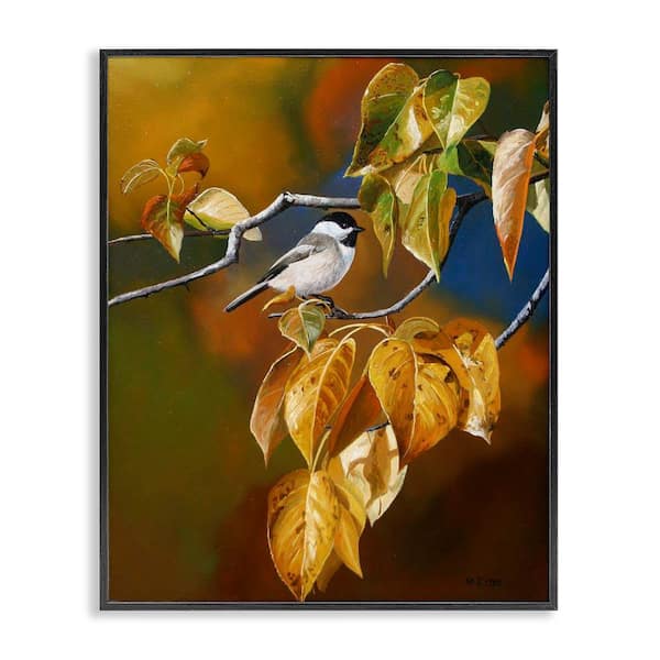 Stupell Industries Bird Perched in Nature by Andrew Kiss Black Framed Graphic Animal Art Print 11 in. x 14 in.