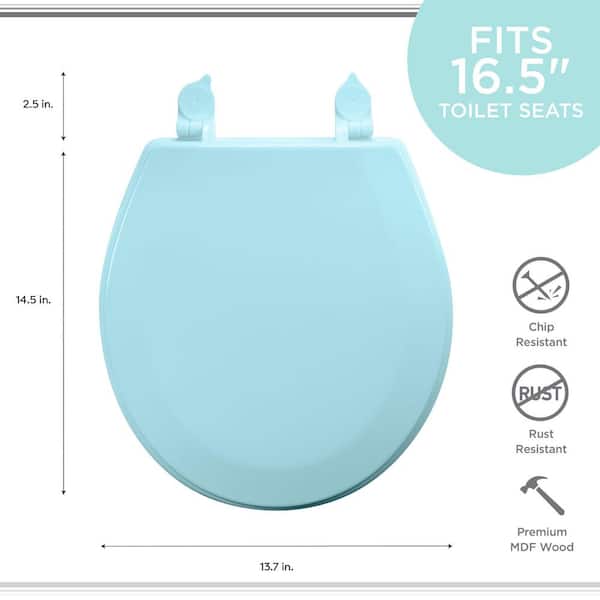 https://images.thdstatic.com/productImages/eac41681-9dfd-472c-aad1-6340c755fd5c/svn/blue-bath-bliss-toilet-seats-7083-1f_600.jpg