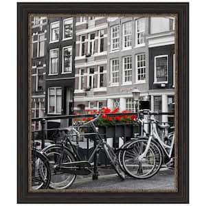 20 in. x 24 in. Accent Bronze Narrow Picture Frame Opening Size