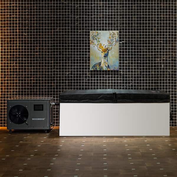 67 in. 1-Person 0-Jet Standard Cold Plunge Ice Bath Tub/Hot Tub with Chiller and Heater