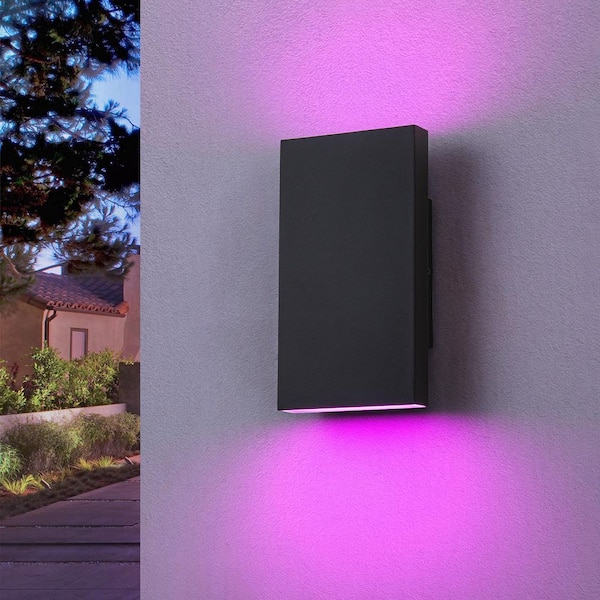 Barry 2-Light Integrated LED RGB Color Changing Outdoor Wall Lantern Sconce