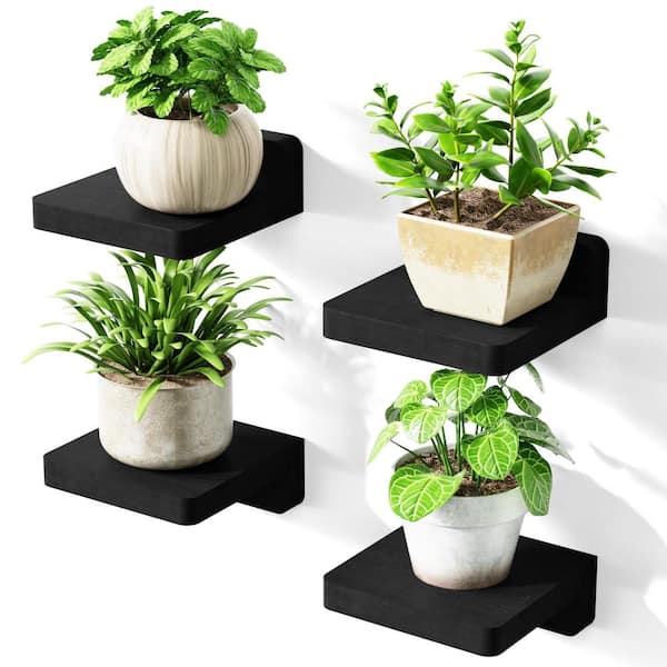 5 in. W x 5 in. D Wood Decorative Wall Shelf for Decoration and Storage Set of 4