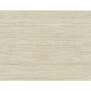 Baja Grass Brown Texture Paper Strippable Roll Wallpaper (Covers 60.8 sq. ft.)